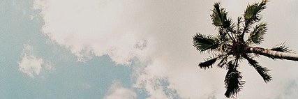 AllexaTS's profile banner image