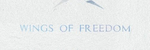 Rivaillevii's profile banner image