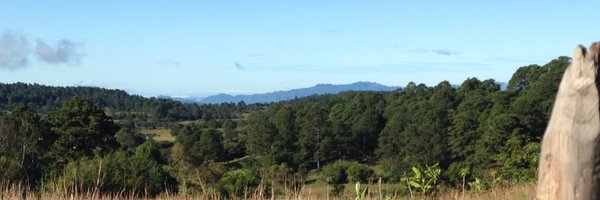 KiriSaunders Profile Banner
