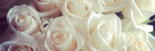 Ryan Rose banner