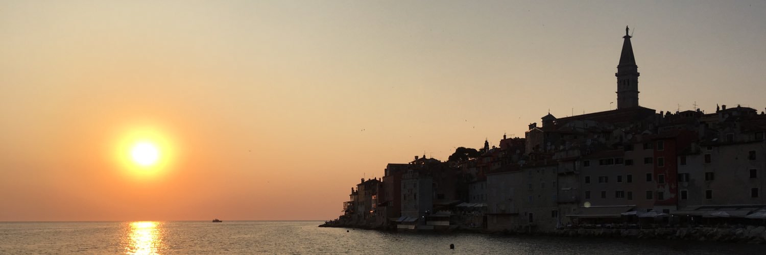 Vicky Holland banner