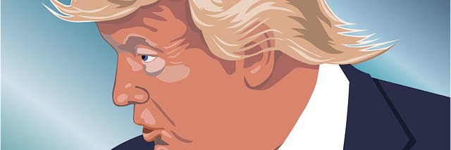 ElTrumpTuitero's profile banner image