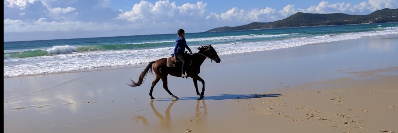 Jacqui Wilson-Smith banner