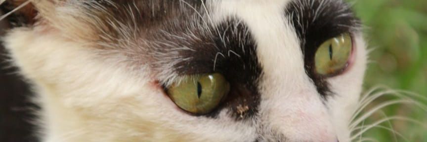 dmtkr6's profile banner image