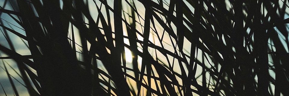 j_shugar's profile banner image