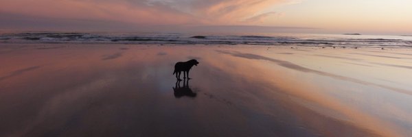 AURAS OF ISLAY Profile Banner