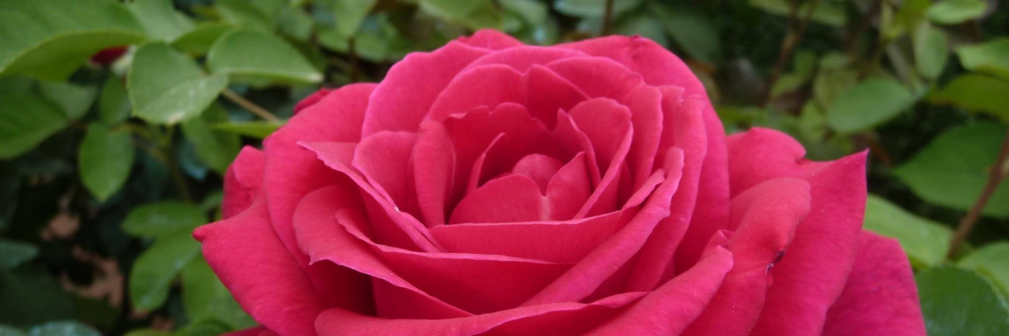 Mariaqr3012's profile banner image