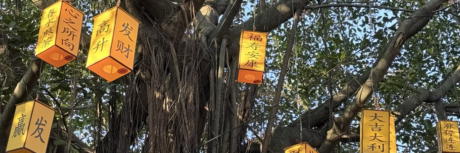 scy banner
