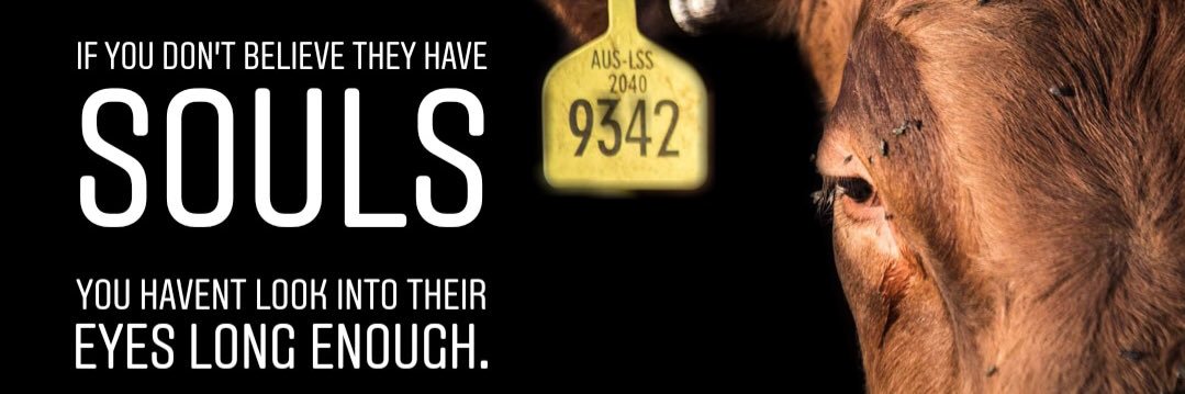 Total Animal Liberation banner