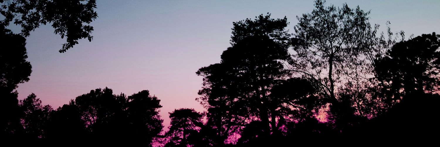 liligblue's profile banner image