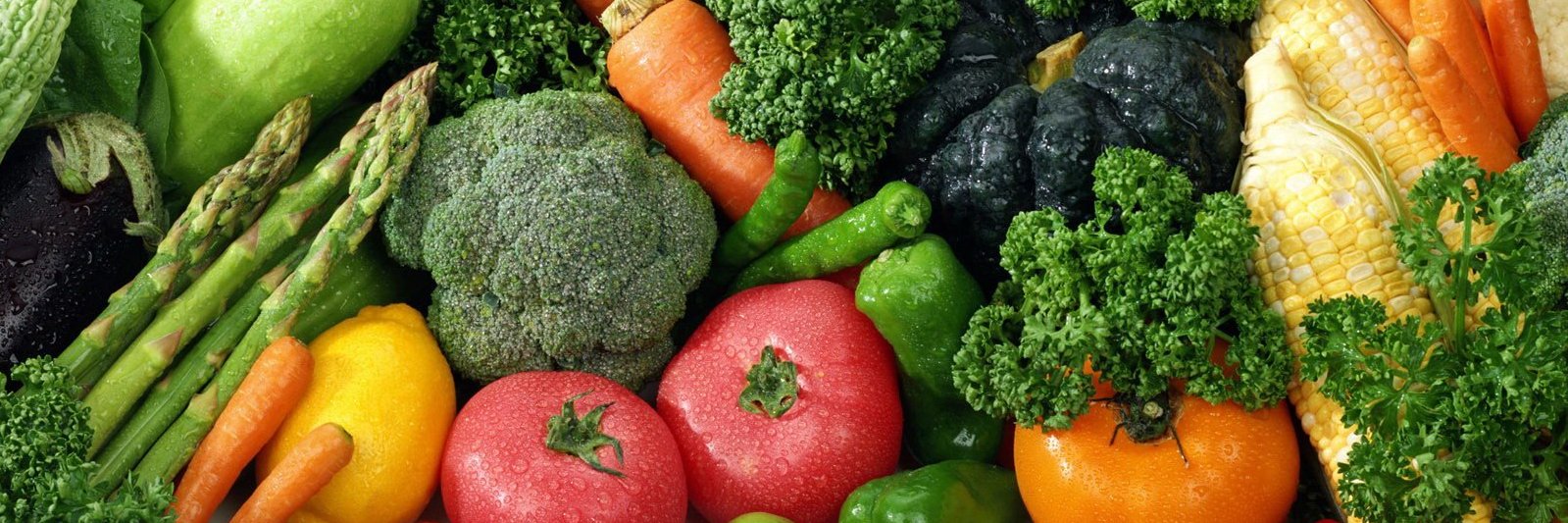 VeVEE Network 🌱 banner