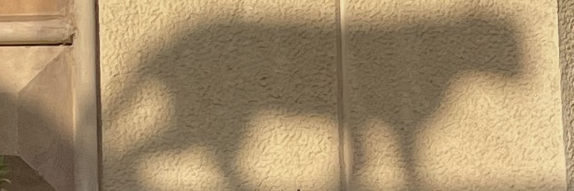 88_xsar's profile banner image