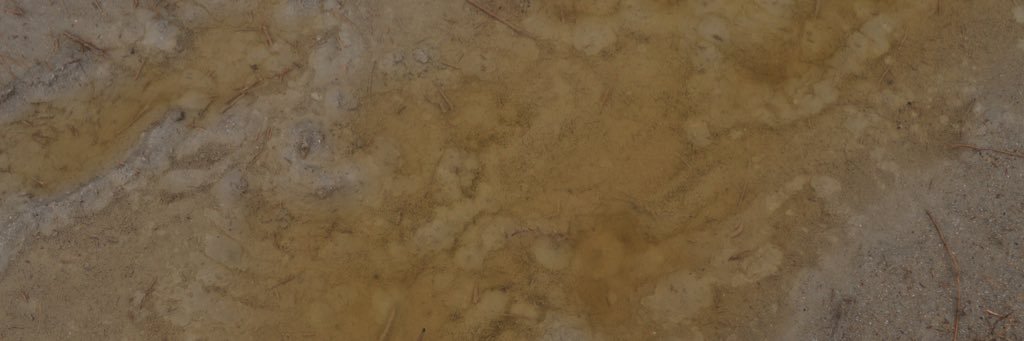 AuneCl's profile banner image