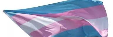avantegui's profile banner image