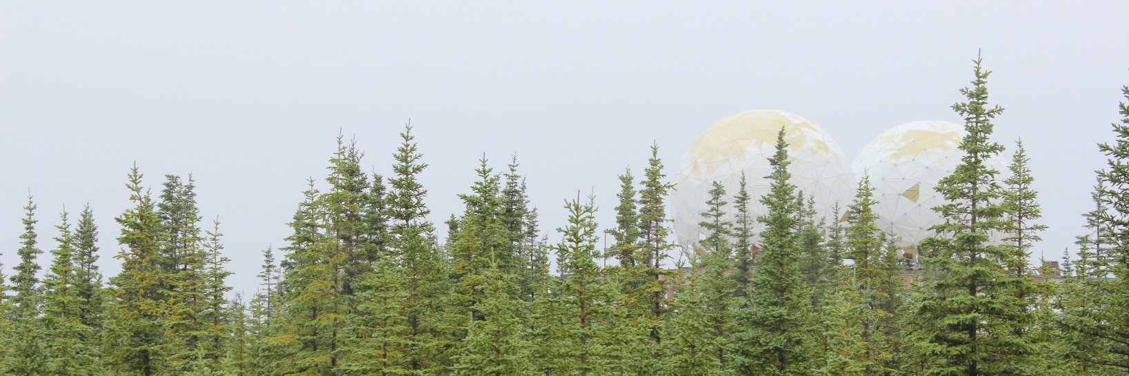 MatthewSWiseman's profile banner image