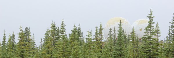 MatthewSWiseman Profile Banner