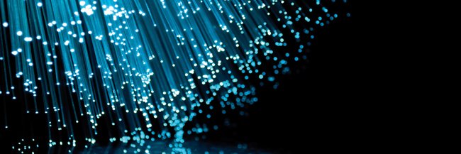 Brandon Buscaino banner