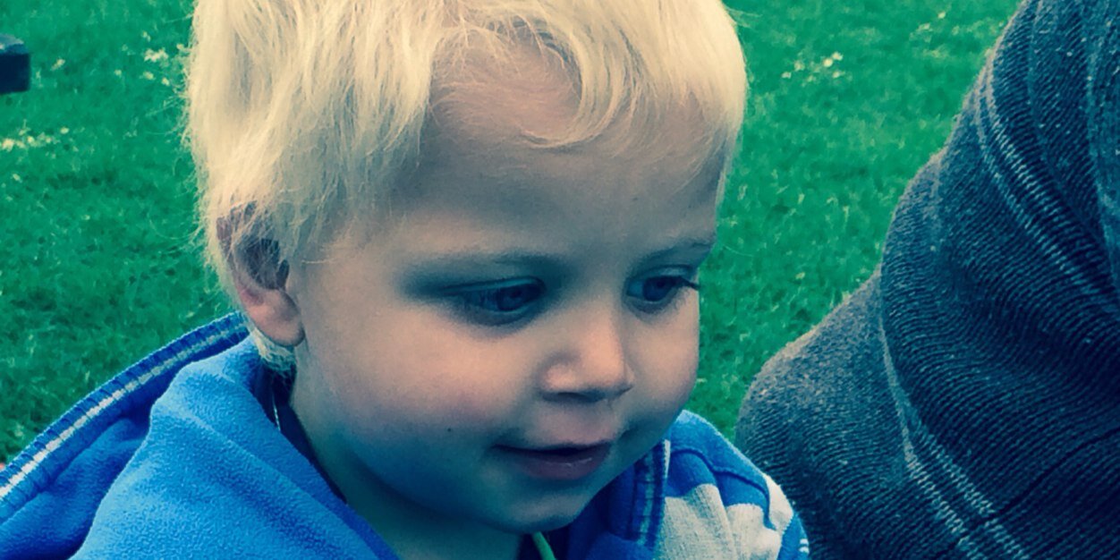 tamsin vining banner