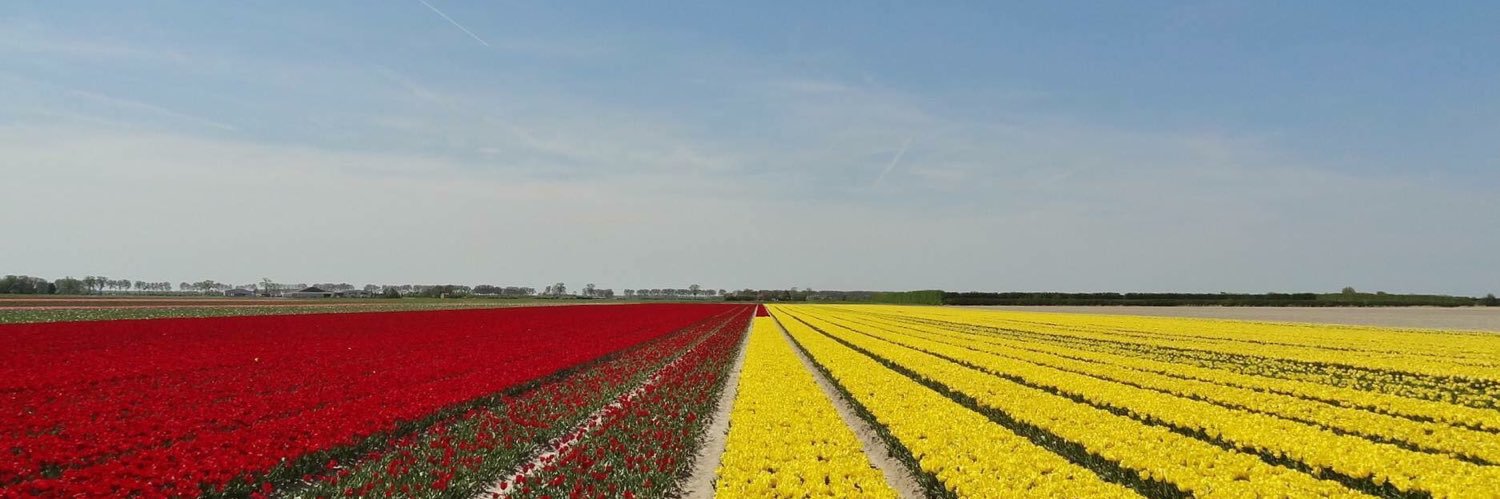 Gemeente Sluis banner