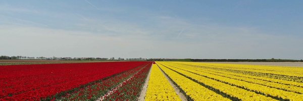 gemsluis Profile Banner