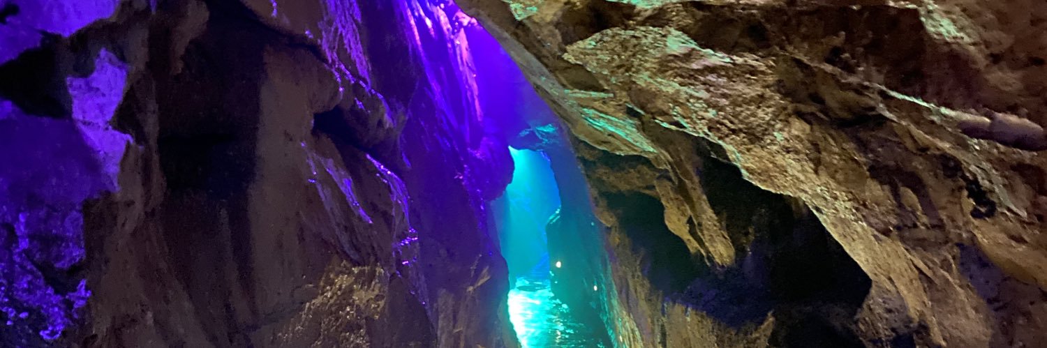 Mr. X 🇺🇸 banner