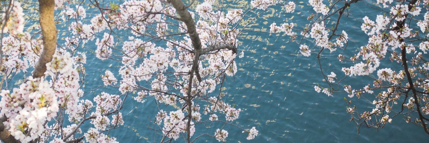 NaOORluv's profile banner image