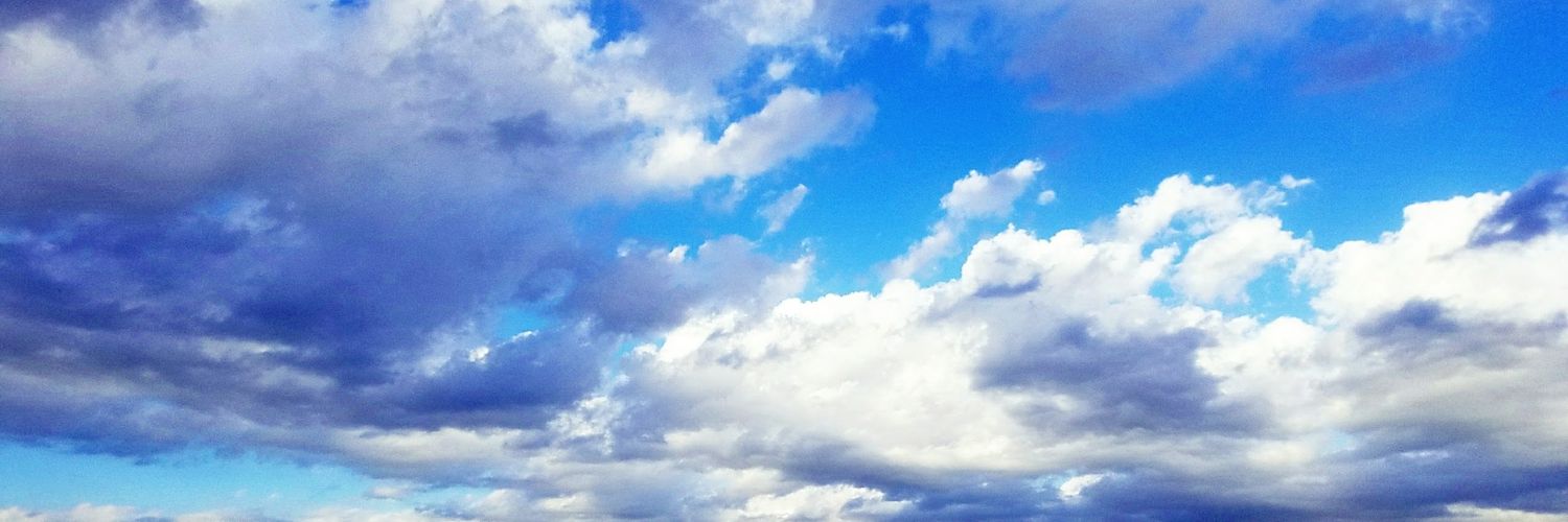 misuzuota's profile banner image