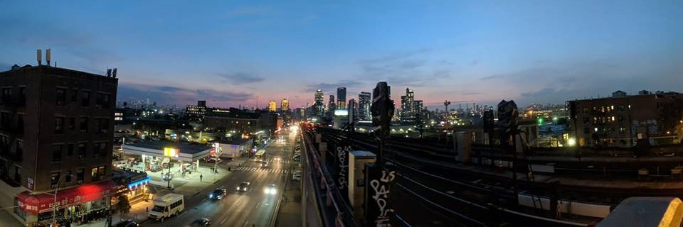 Elizabeth Cottle banner