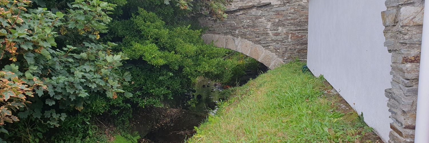 Fisha's Burner banner