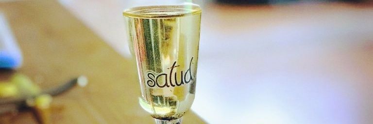 saluips's profile banner image