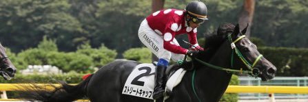 ko(東大バカⅢ類) banner