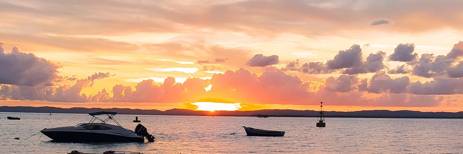 Thamise Bezerra banner