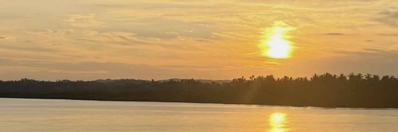 eurmoi's profile banner image