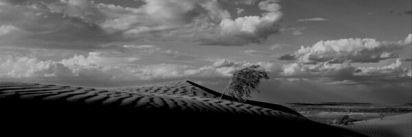 CWrightmedia Profile Banner