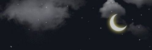 cemara nokos banner
