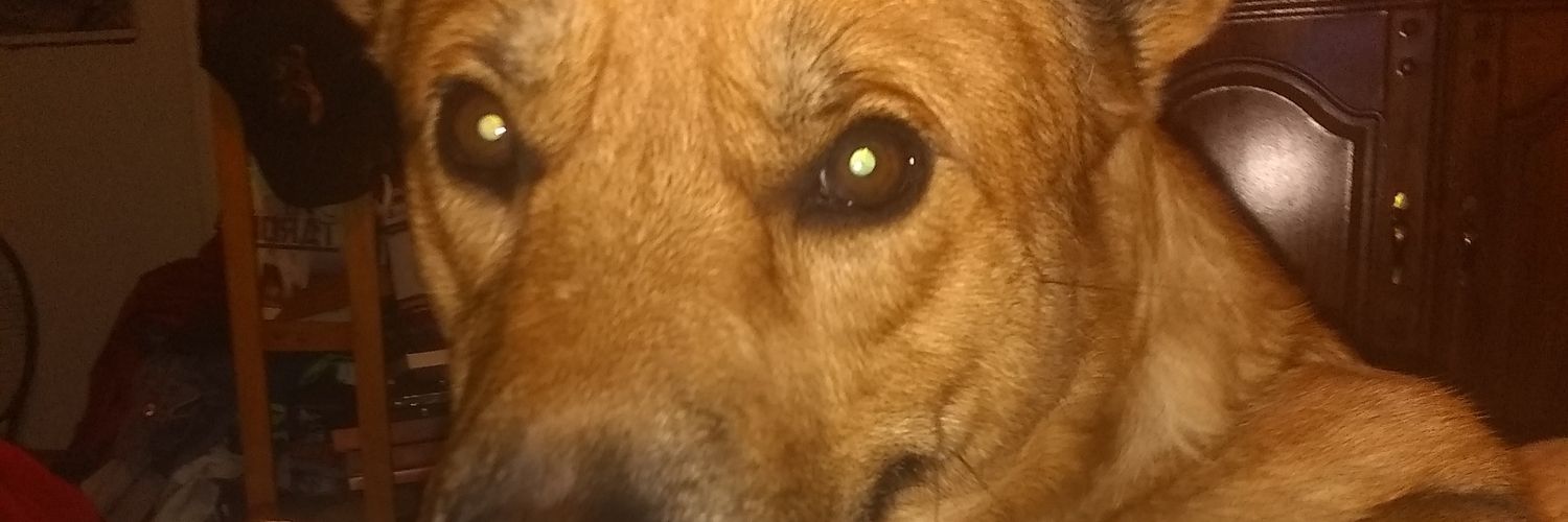 Jessica Ecoffey banner