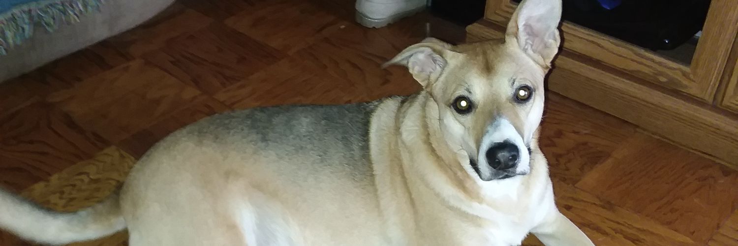 JoEllenB85's profile banner image