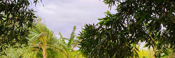 GenAsadOsman Profile Banner