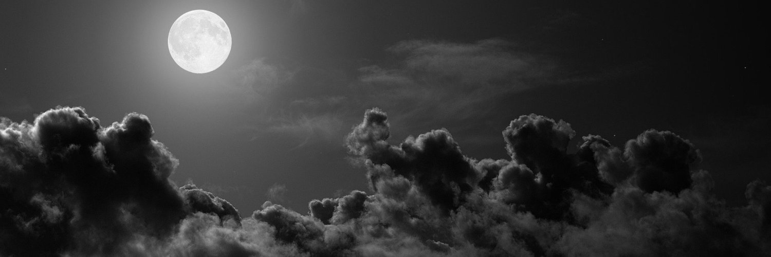 slhilyasoglu's profile banner image