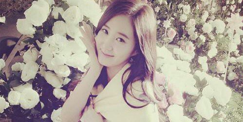 VSLTINTOP's profile banner image