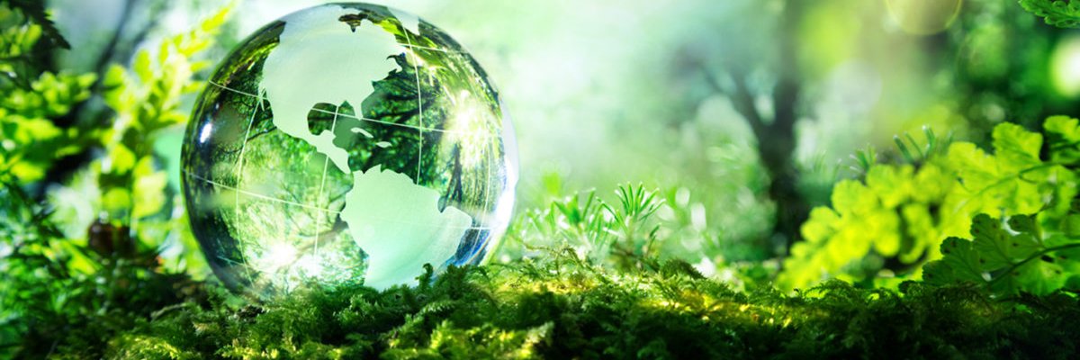 GreenWTeam's profile banner image