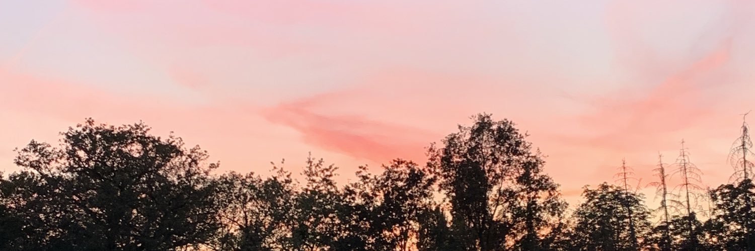 MVERKERKE's profile banner image