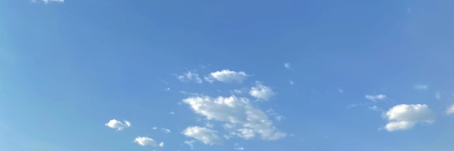 Luisa Fernanda M banner