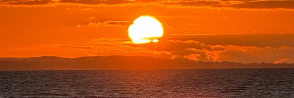 bfialek Profile Banner