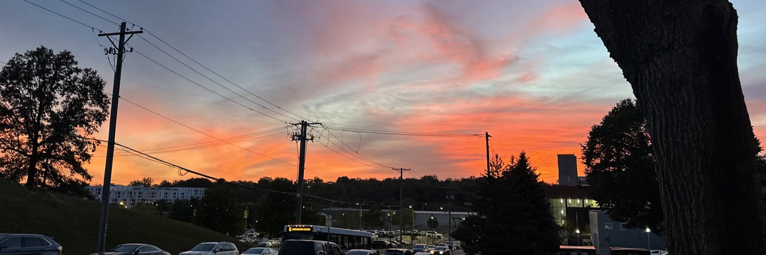 peytonflynn4's profile banner image
