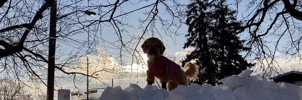 OpenCCE Profile Banner