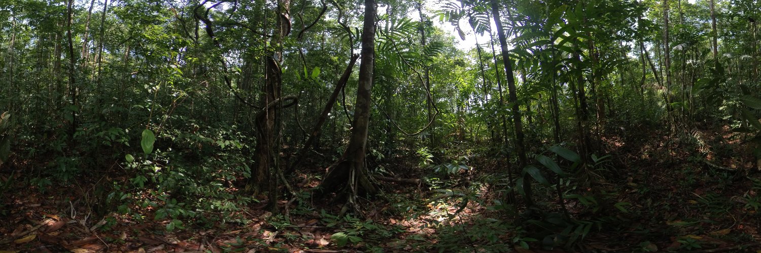 Sounding Wild banner