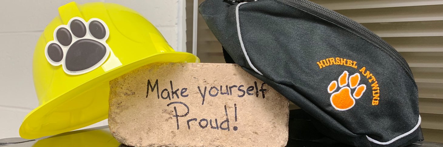 Vanessa Goins banner