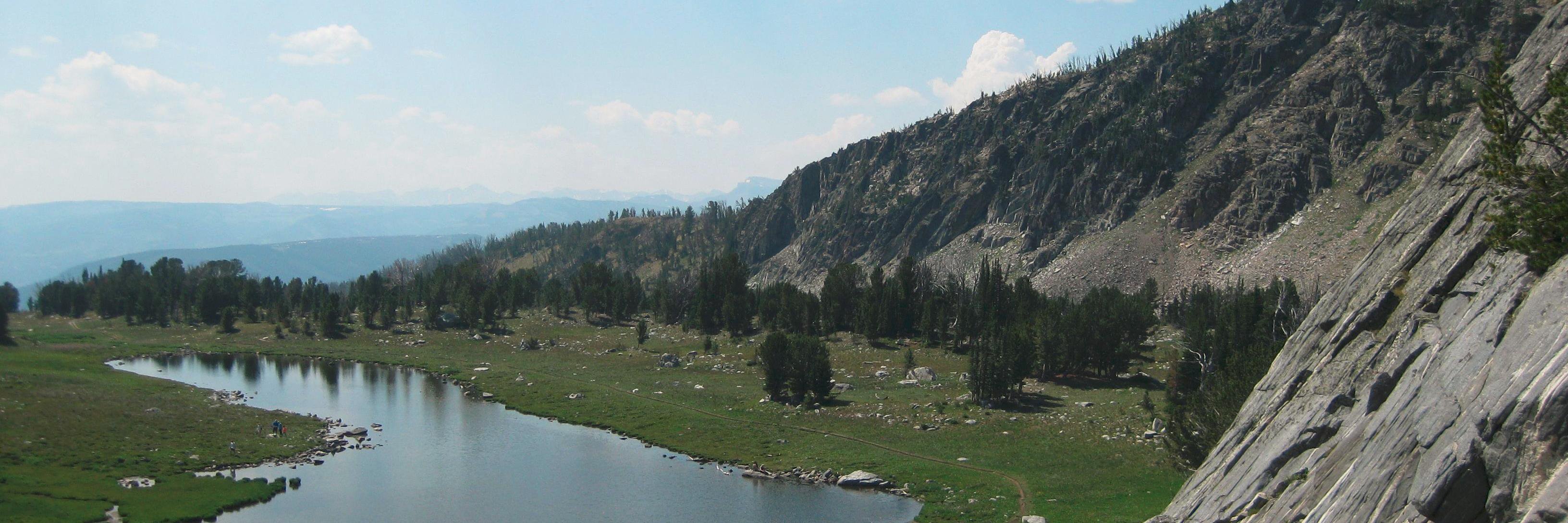 Susan MacCall banner