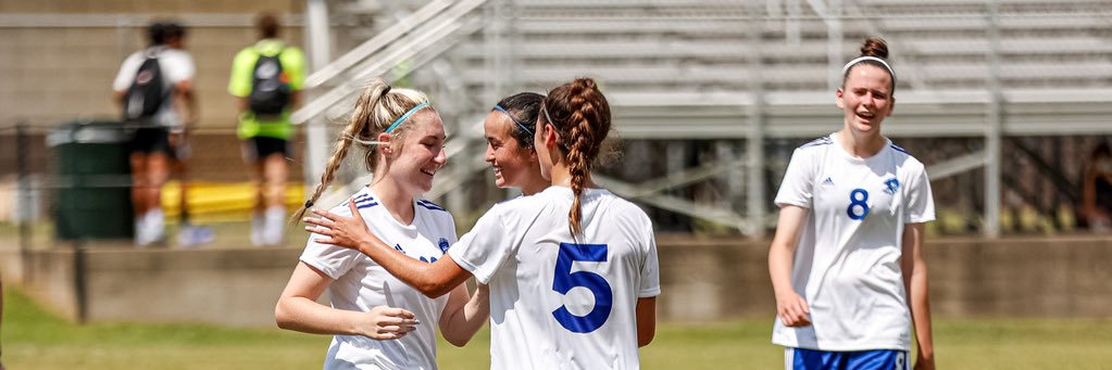 sofia penning banner